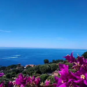 Azur Cap-d’Ail